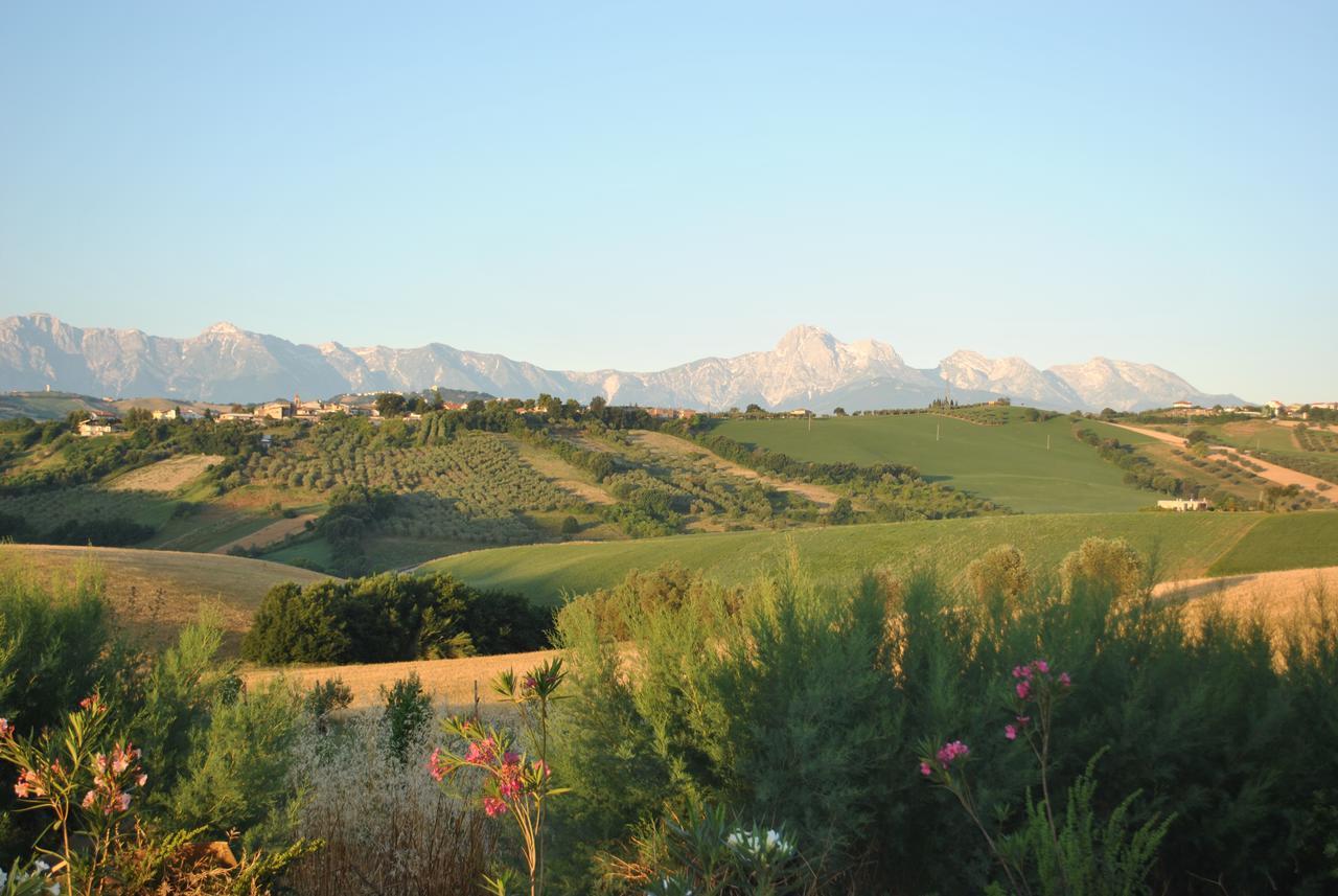 Ripattone Il Frutteto Bed And Breakfast المظهر الخارجي الصورة