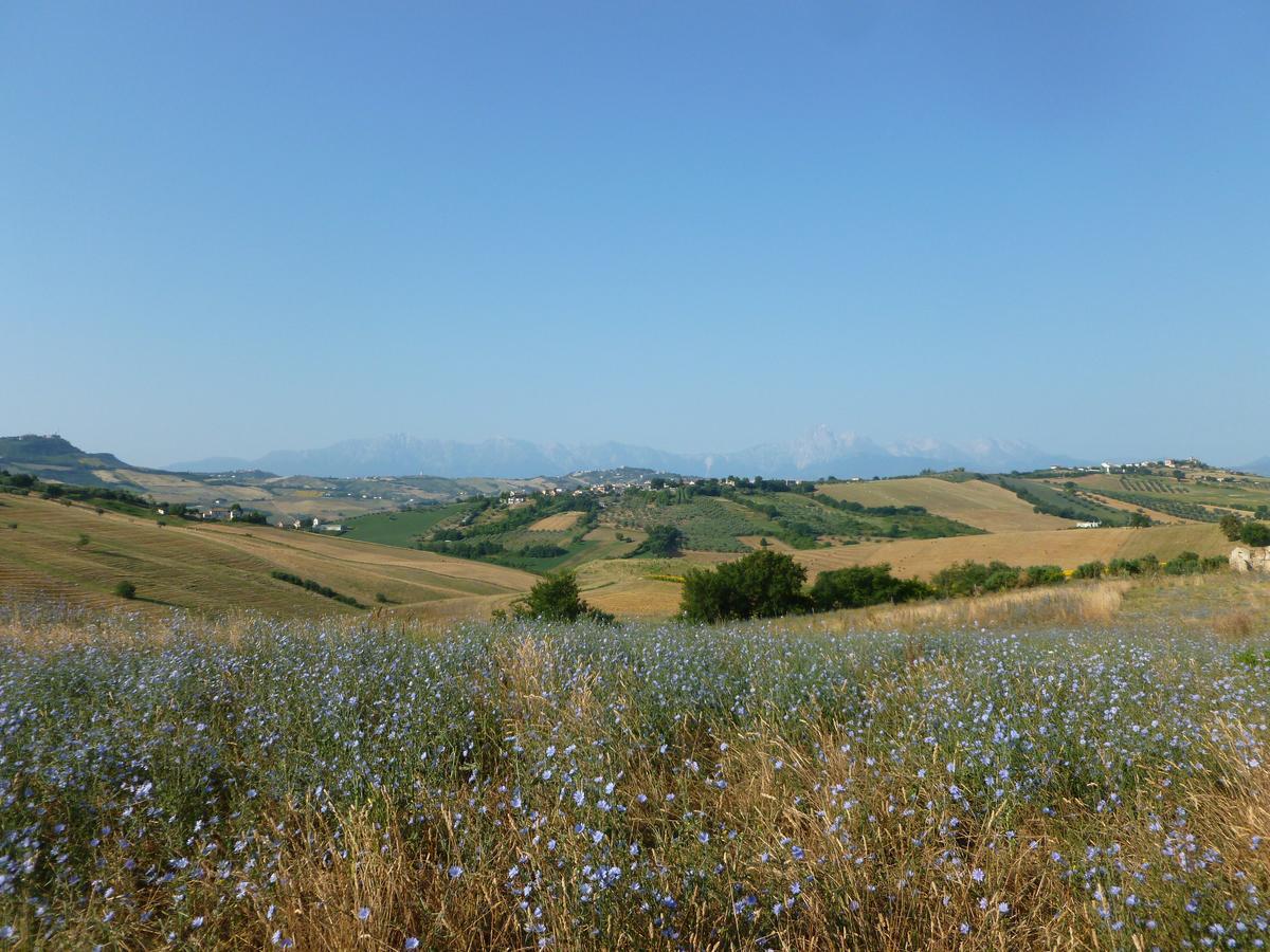 Ripattone Il Frutteto Bed And Breakfast المظهر الخارجي الصورة