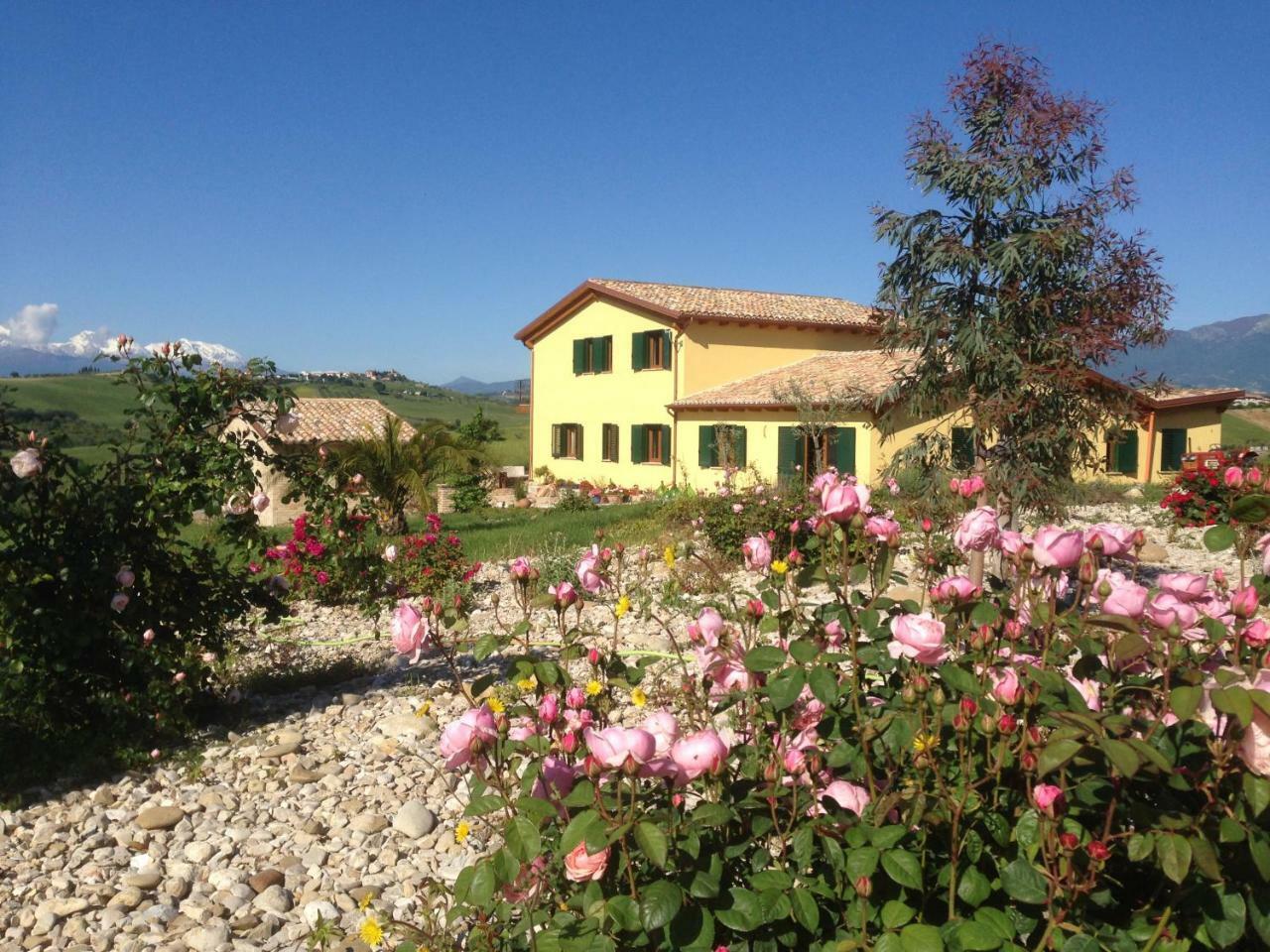 Ripattone Il Frutteto Bed And Breakfast المظهر الخارجي الصورة
