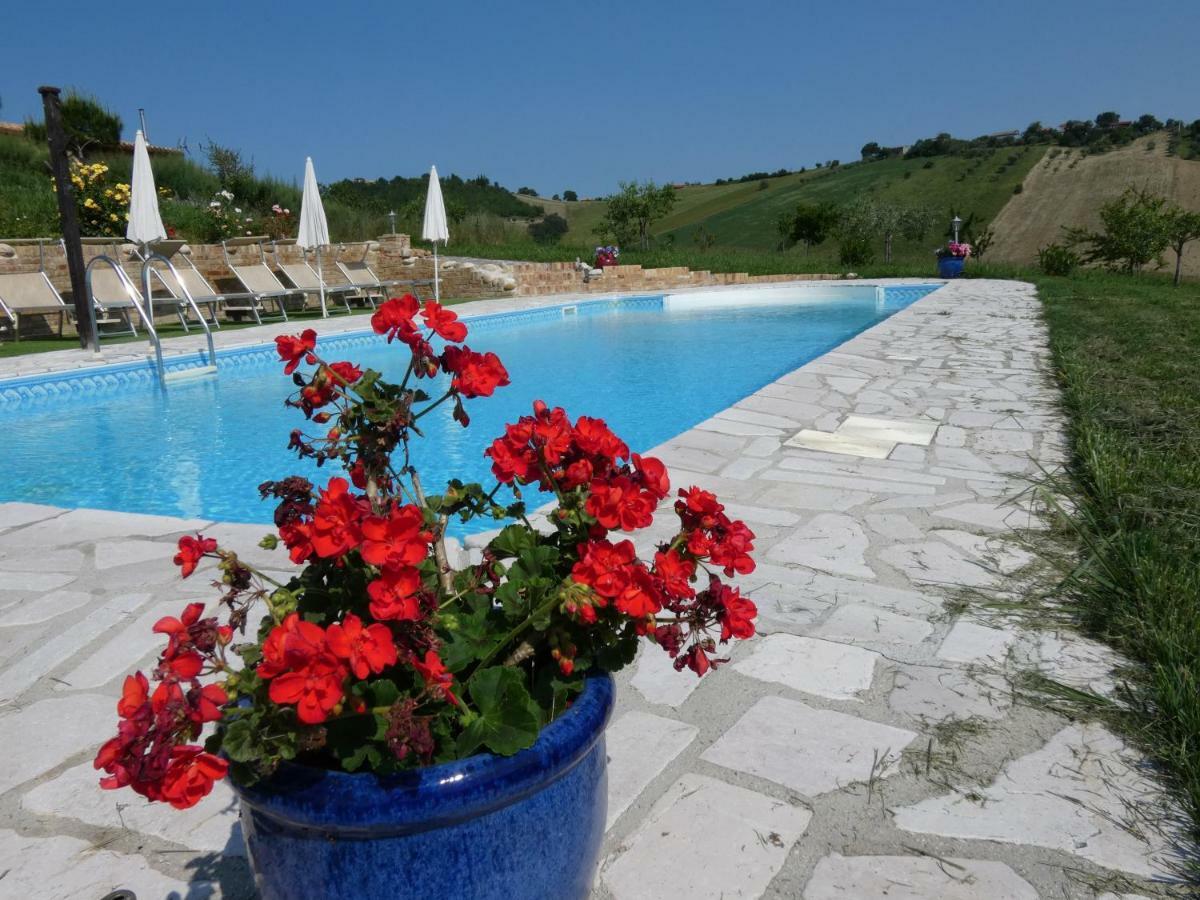 Ripattone Il Frutteto Bed And Breakfast المظهر الخارجي الصورة